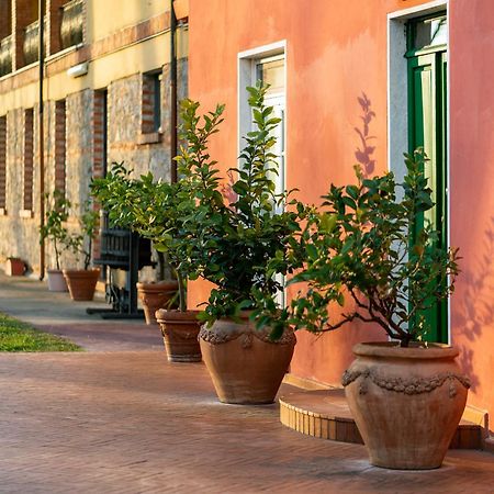 Fattoria Battilana Guest House Marina Di Carrara Bagian luar foto
